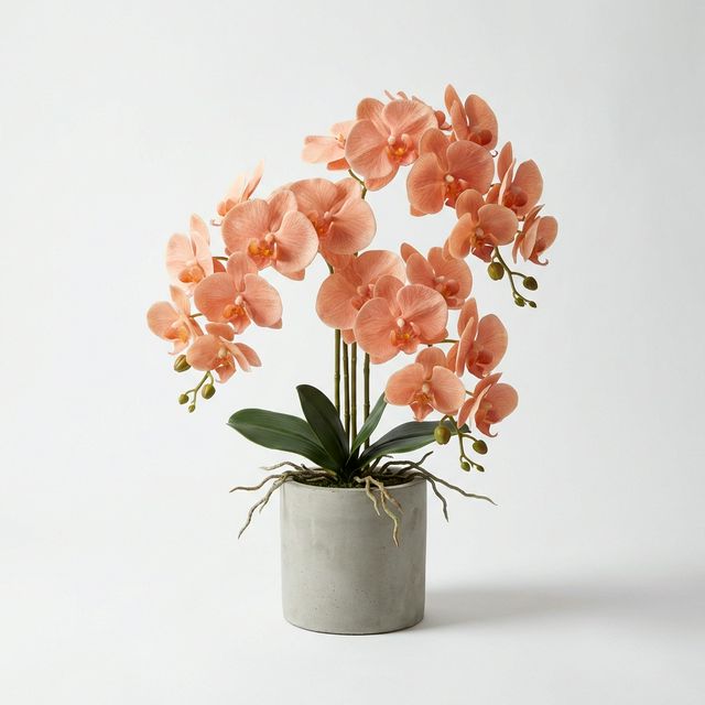 Restaurace La Fleur